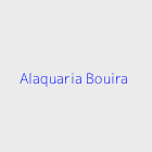 Agence immobiliere Alaquaria Bouira
